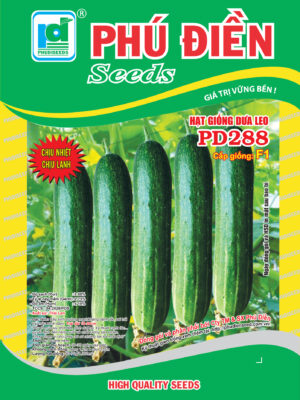 Hạt giống dưa leo lai F1-PD288 (10g)