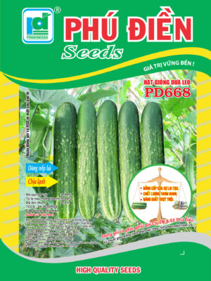 Hạt giống dưa nếp lai F1 PD668 chịu lạnh