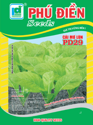 Hạt giống cải mơ lùn PD29 (20g)
