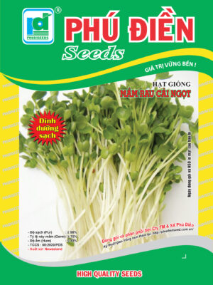 Hạt giống Mầm rau cải ngọt