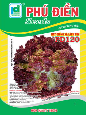 Hạt giống xà lách tím PD120 (2g)