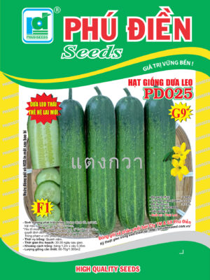 Hạt giống dưa leo lai F1 PD025 (10g)
