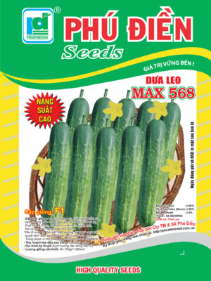 Hạt giống dưa leo lai F1 Max568 (10g)